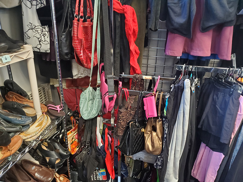 Womens Accessories Purses 