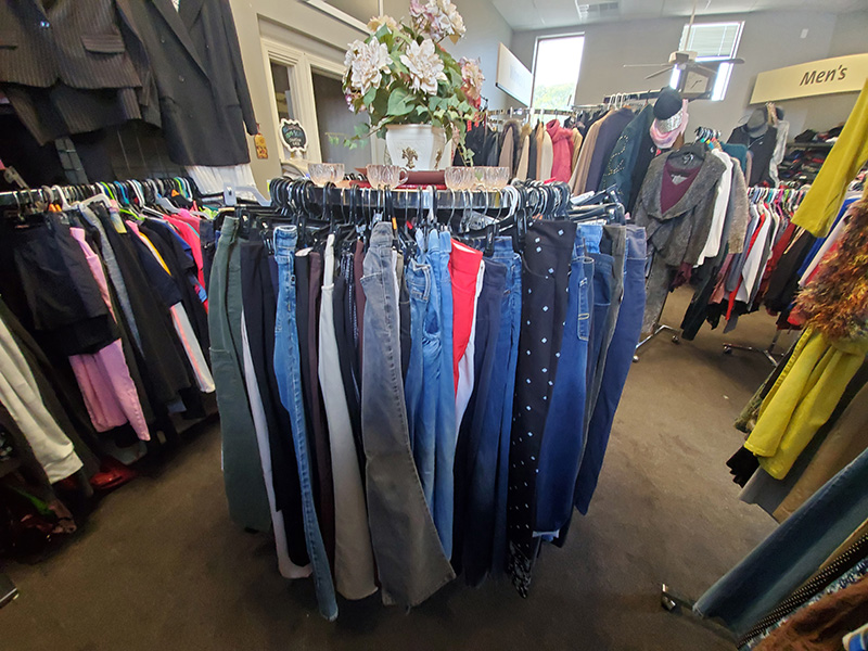 Womens Clothing Pants