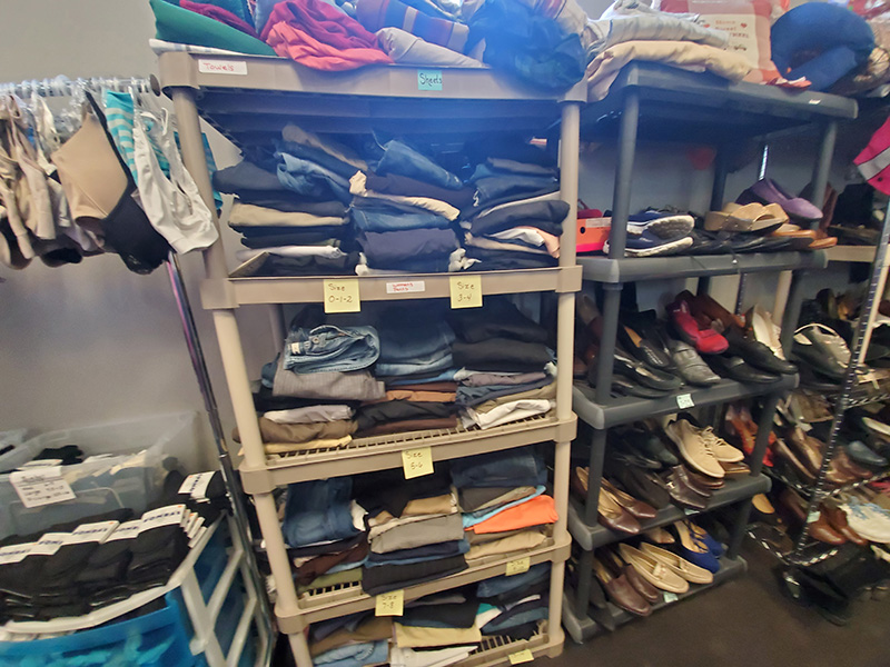 Womens Clothing Pants